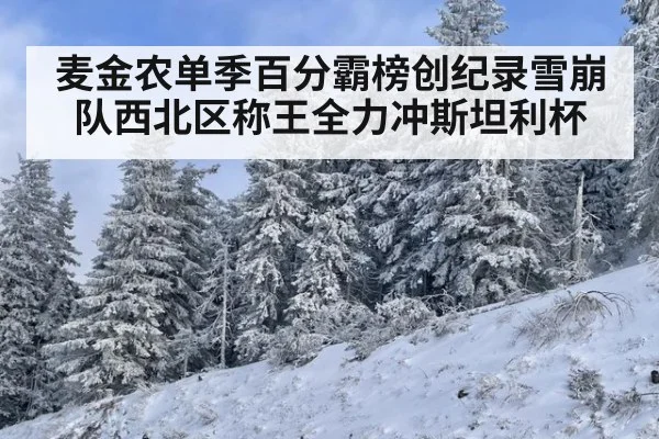 麦金农单季百分霸榜创纪录雪崩队西北区称王全力冲斯坦利杯